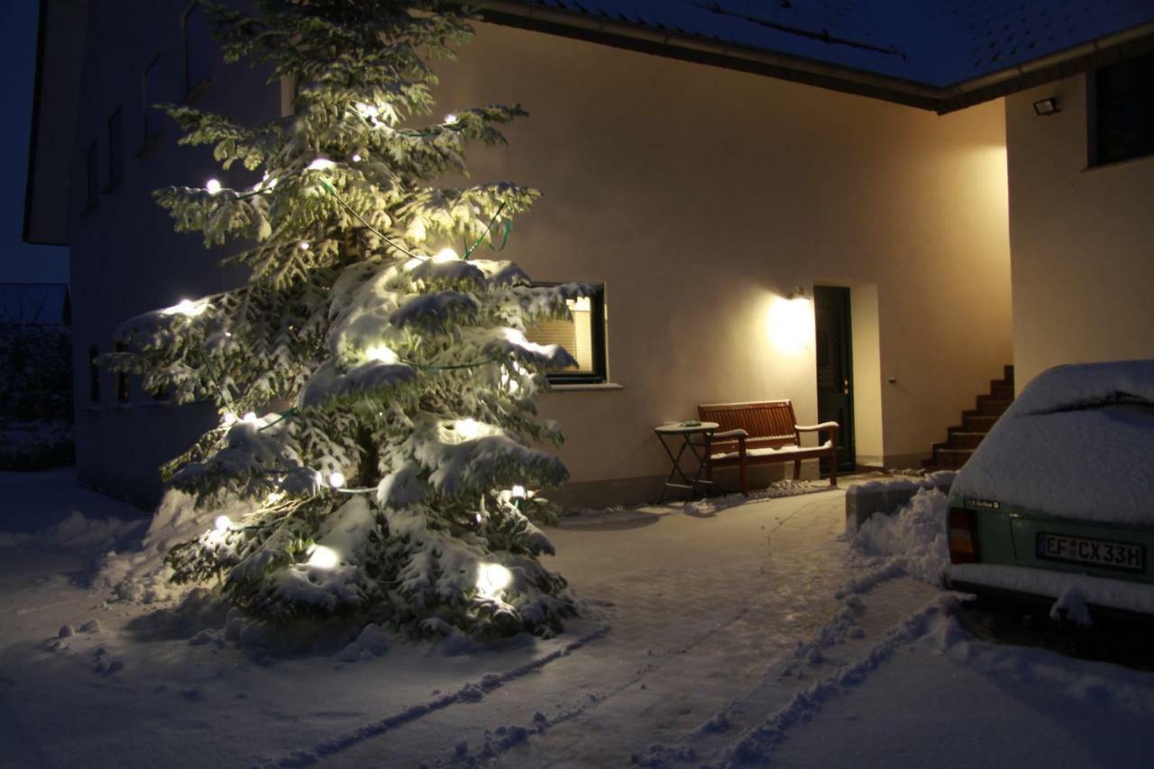 Alter Fritz Erfurt Apartment Bagian luar foto